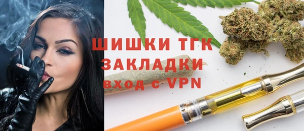 МДПВ Богородск